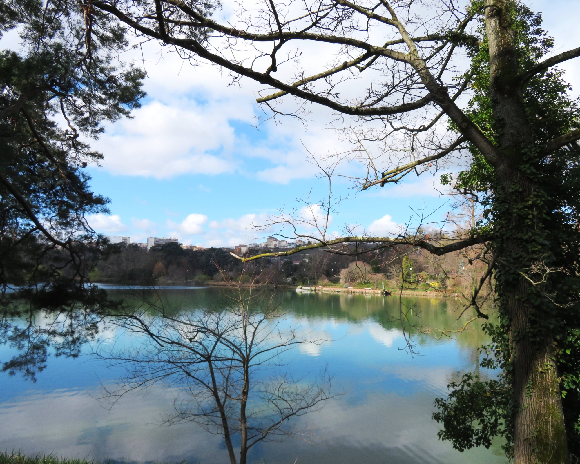 MERCREDI 13 MARS 2024: une marche nordique en forme