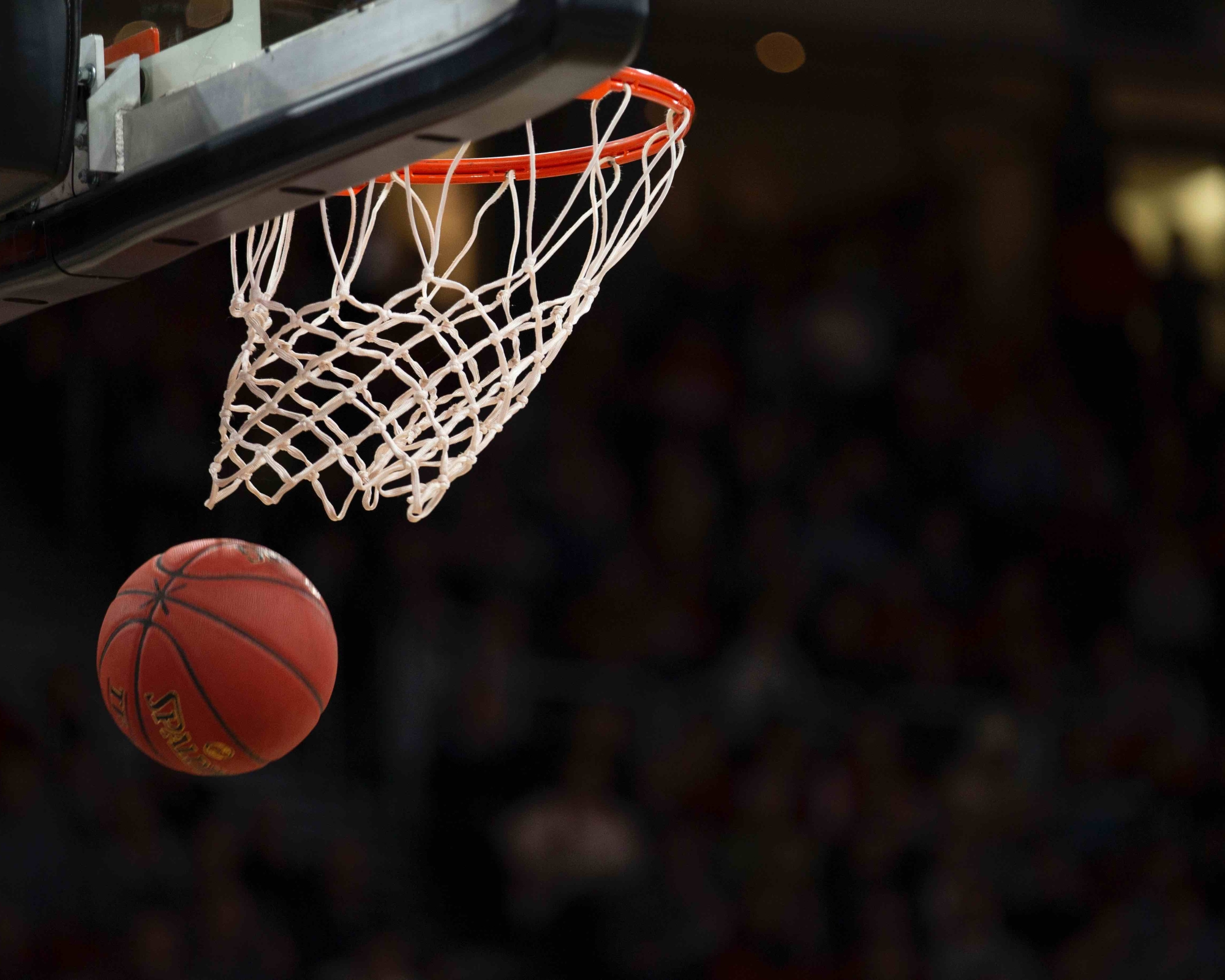 Basket - reprise de la saison 2026/2027